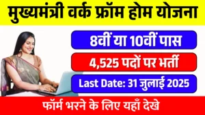 Mukhyamantri Work From Home Yojana 2025